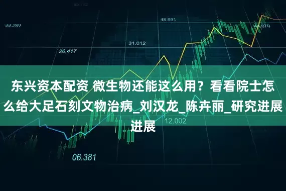东兴资本配资 微生物还能这么用？看看院士怎么给大足石刻文物治病_刘汉龙_陈卉丽_研究进展
