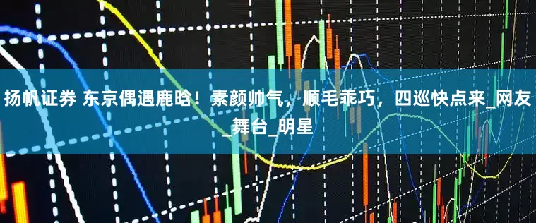 扬帆证券 东京偶遇鹿晗！素颜帅气，顺毛乖巧，四巡快点来_网友_舞台_明星